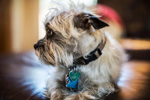 Meet your Posher, Nikki